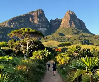 As Melhores Trilhas em Cambará do Sul: Explore a Natureza do Rio Grande do Sul