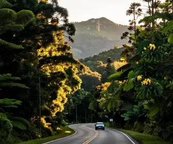 Como realizar o traslado entre Gramado e Canela de forma prática e econômica
