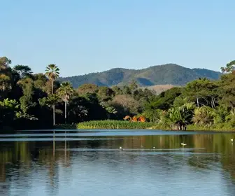 Descubra a Beleza Natural da Lagoa Mirim no Rio Grande do Sul Descubra a Beleza Natural da Lagoa Mirim no Rio Grande do Sul