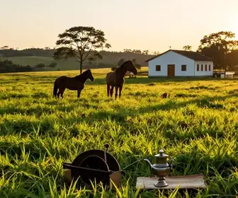 Descubra a Cultura Gaúcha: Tradições e Espiritualidade do Rio Grande do Sul Descubra a Cultura Gaúcha: Tradições e Espiritualidade do Rio Grande do Sul