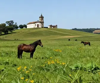 Descubra a Região das Missões: Tradição e Cultura do Rio Grande do Sul