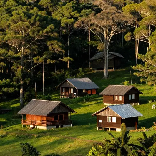 Descubra as Cabanas e Chalés de Madeira