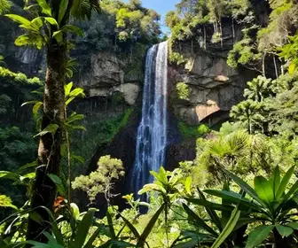 Descubra as Maravilhas do Parque Estadual do Caracol no Rio Grande do Sul
