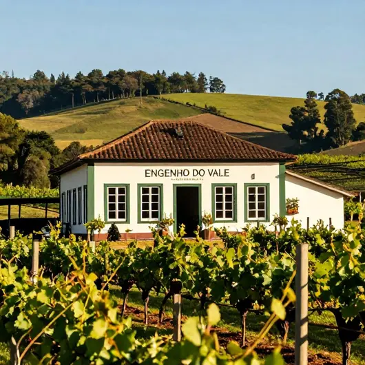 Descubra o Engenho do Vale Restaurante e Varejo de bebidas Descubra o Engenho do Vale Restaurante e Varejo de bebidas