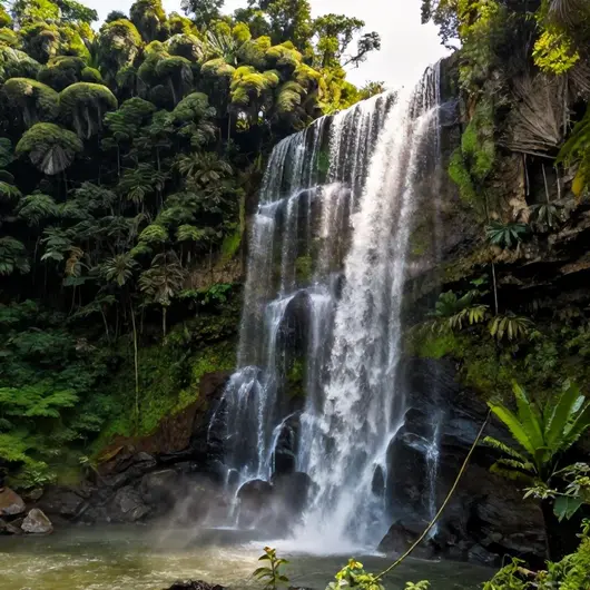 Descubra o Parque das Cascatas
