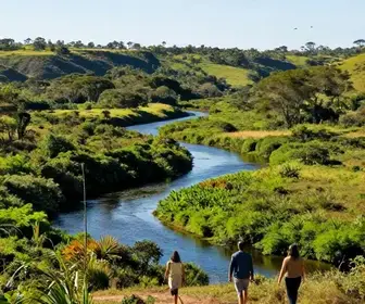 Descubra o Parque Estadual Delta do Jacuí: Natureza e Aventura no Coração do Rio Grande do Sul Descubra o Parque Estadual Delta do Jacuí: Natureza e Aventura no Coração do Rio Grande do Sul
