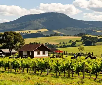 Descubra o Turismo Rural em Caxias do Sul: Experiências Autênticas no Campo