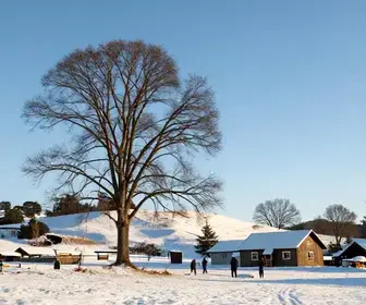 Descubra Onde Ver Neve no Rio Grande do Sul