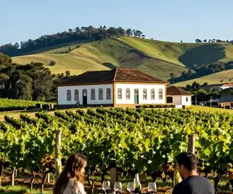 Descubra os 17 melhores lugares para enoturismo no Rio Grande do Sul Descubra os 17 melhores lugares para enoturismo no Rio Grande do Sul