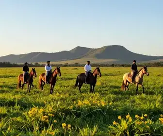 Experiência Única de Cavalgadas no Pampa Gaúcho Experiência Única de Cavalgadas no Pampa Gaúcho