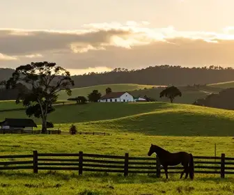 Explorando a História do Rio Grande do Sul: Um Legado Cultural