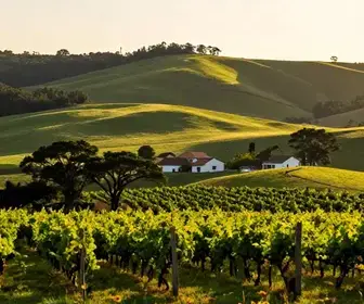 Explorando o Turismo Rural na Serra Gaúcha: Um Refúgio Natural