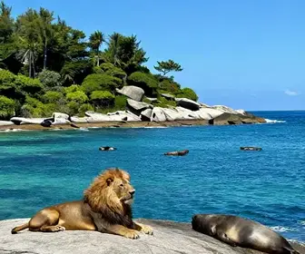 Explore a Ilha dos Lobos: Um Destino Imperdível no Rio Grande do Sul