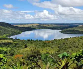 Explore o Parque Nacional da Lagoa do Peixe: Natureza e Aventura no Sul do Brasil Explore o Parque Nacional da Lagoa do Peixe: Natureza e Aventura no Sul do Brasil