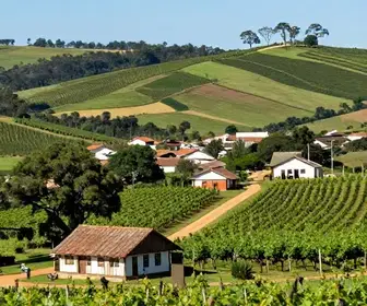 Melhores Bate-Voltas a Partir de Bento Gonçalves: Descubra o Que Fazer