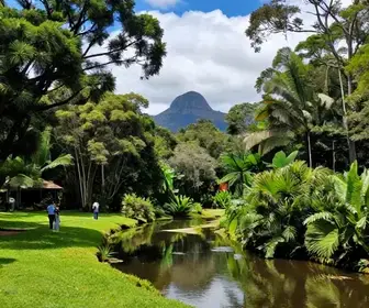 Parque Estadual do Turvo: Um Refúgio Natural no Rio Grande do Sul Parque Estadual do Turvo: Um Refúgio Natural no Rio Grande do Sul
